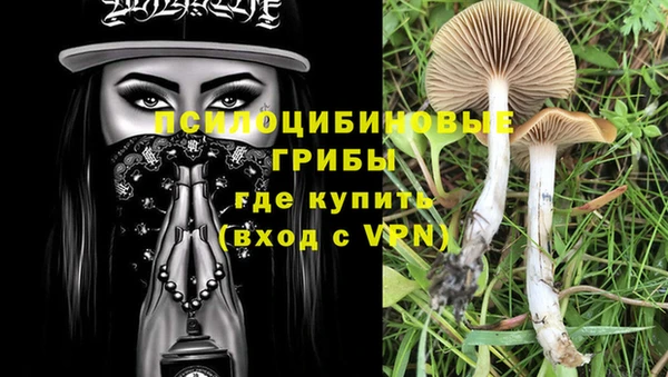 винт Белокуриха