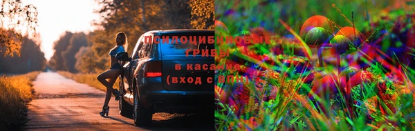 винт Белокуриха